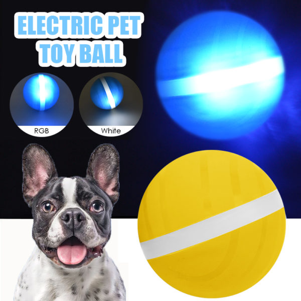 LED Pet Motion Ball - Image 4