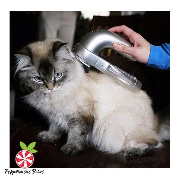 Dual Function Vacuum Pet Groomer - Image 4