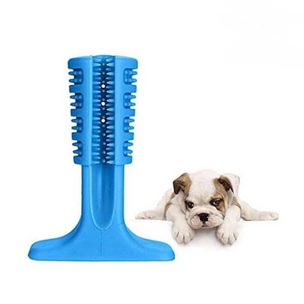 Doggie DIY Toothbrush - Image 2