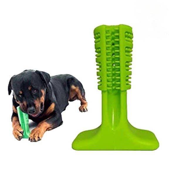 Doggie DIY Toothbrush - Image 5