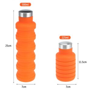 Collapsible Water Bottle