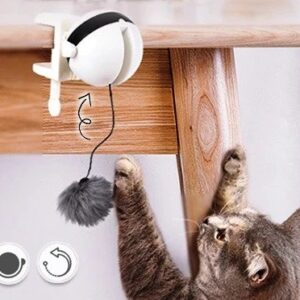 AutoBall Lifting Cat Toy