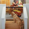 Dogvio Safety Door Guard