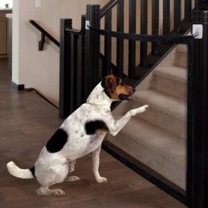 Dogvio Safety Door Guard