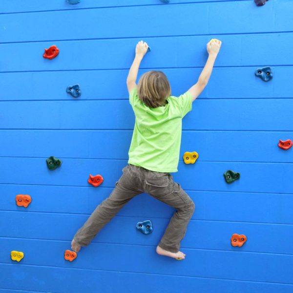 Rock Climbing Holds - 15/32/64 pcs - Image 3