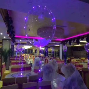 LED BALLOON REUSABLE