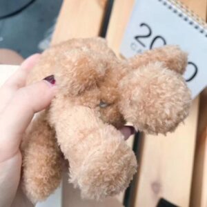 Cartoon Teddy Bear Airpod Case Cover