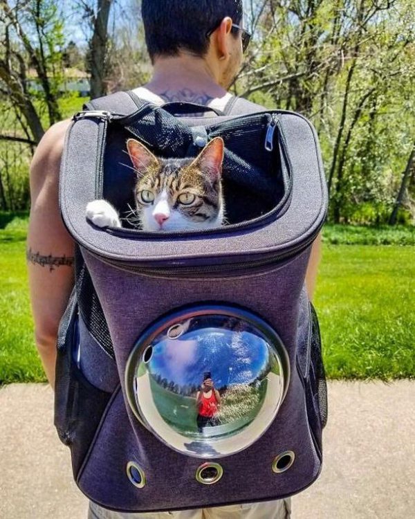 "The Fat Cat" Cat Backpack