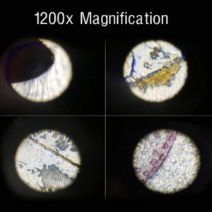 Young Scientist’s 1200X Mini Microscope