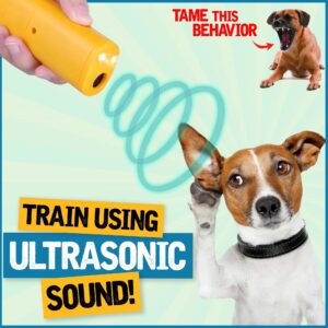 Anti Barking Training Devices