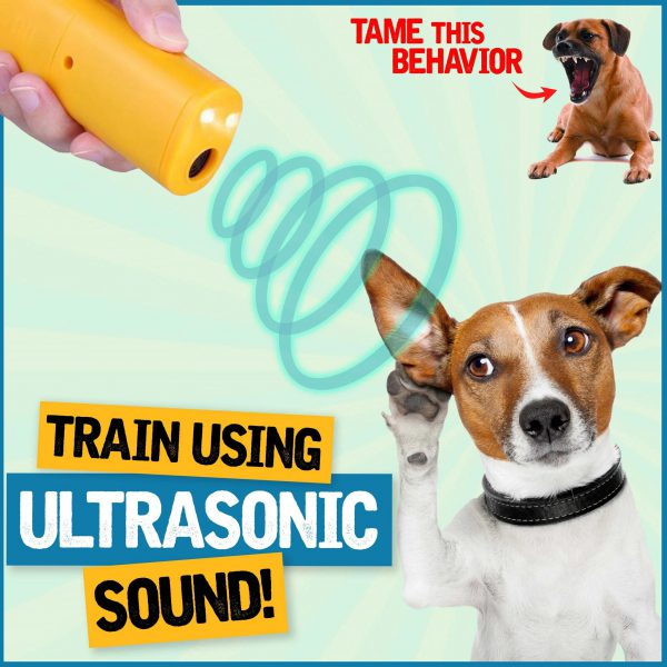 Anti Barking Training Devices