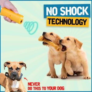 Anti Barking Training Devices