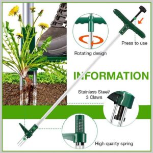 Standing Plant Root Remover