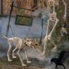 Animated Two Headed Skeleton Dog