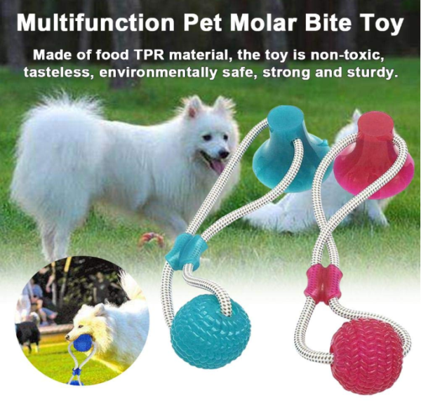 Last Day Promotion- Flexible Dog Molar Bite Toy