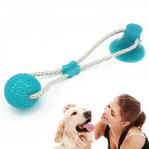 Last Day Promotion- Flexible Dog Molar Bite Toy