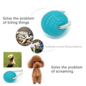 Last Day Promotion- Flexible Dog Molar Bite Toy