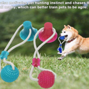 Last Day Promotion- Flexible Dog Molar Bite Toy