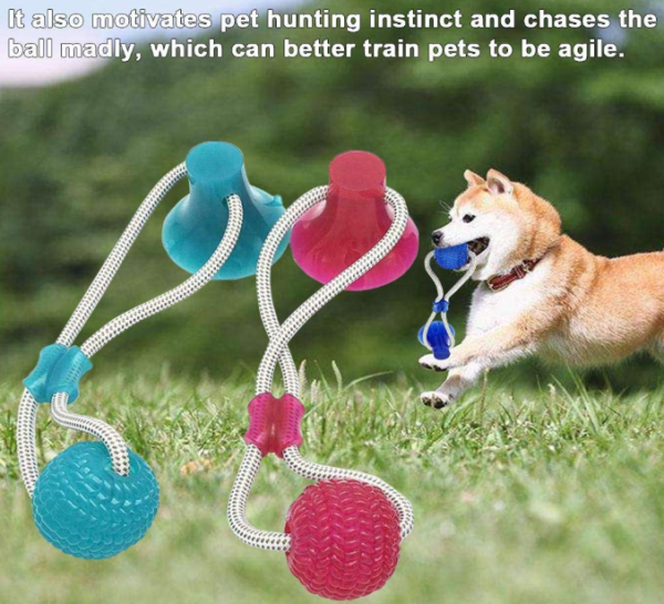 Last Day Promotion- Flexible Dog Molar Bite Toy