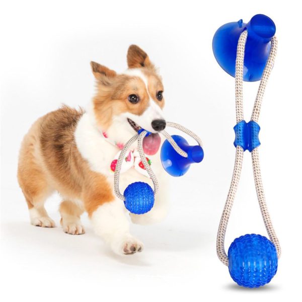 Last Day Promotion- Flexible Dog Molar Bite Toy