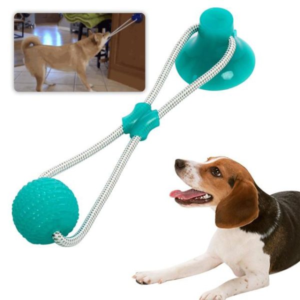 Last Day Promotion- Flexible Dog Molar Bite Toy