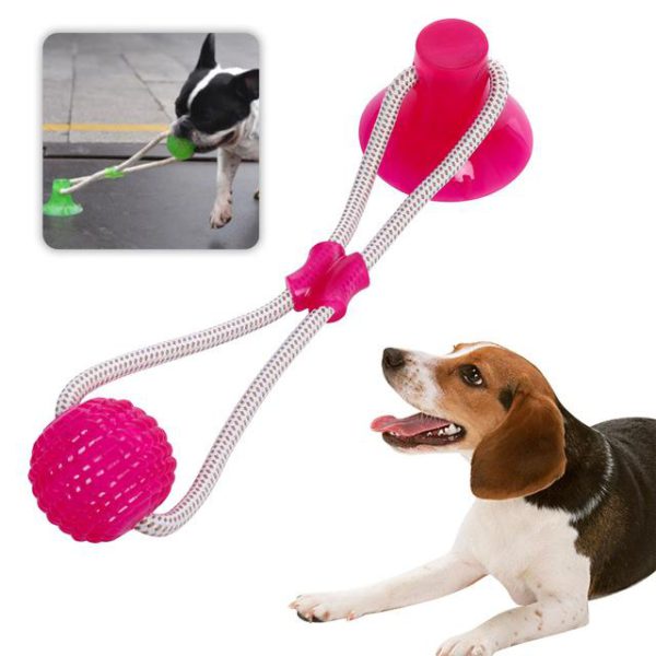 Last Day Promotion- Flexible Dog Molar Bite Toy