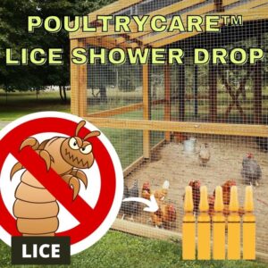 [PROMO 30% OFF] PoultryCare™ Lice Shower Drop