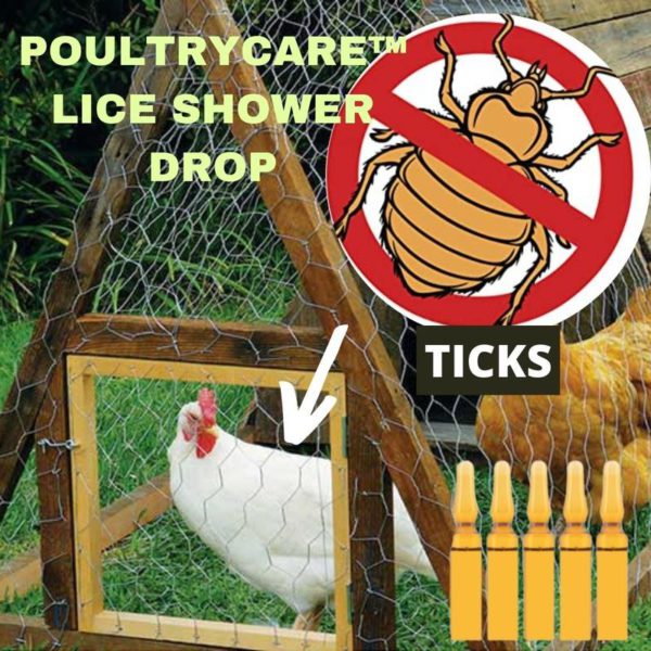 [PROMO 30% OFF] PoultryCare™ Lice Shower Drop