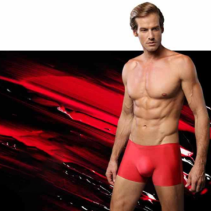 LISTENTOWIND™ Men's Ice Silk Breathable Underwear