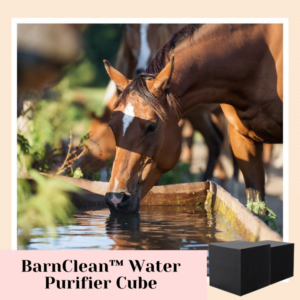 [PROMO 30% OFF] BarnClean™ Water Purifier Cube