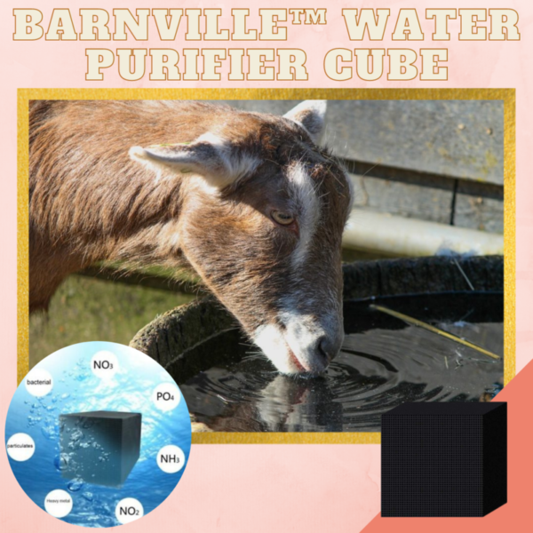 [PROMO 30% OFF] BarnClean™ Water Purifier Cube