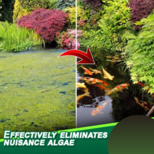 [PROMO 30% OFF] AlgaeAway™ Pond Purifier Agent