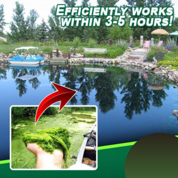 [PROMO 30% OFF] AlgaeAway™ Pond Purifier Agent