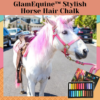 [PROMO 30% OFF] GlamEquine™ Stylish Horse Hair Chalk