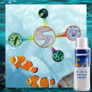 [PROMO 30% OFF] Aquazo™ 4-in-1 Fish Tank Solution