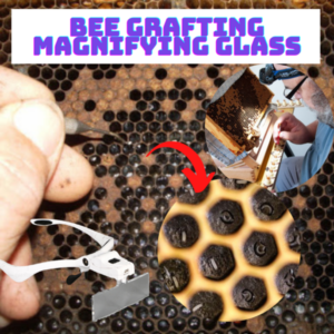 [PROMO 30% OFF] Bee Grafting Magnifying Glass