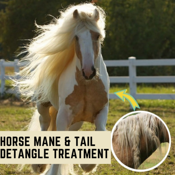 [PROMO 30% OFF] Horse Mane & Tail Detangle Treatment