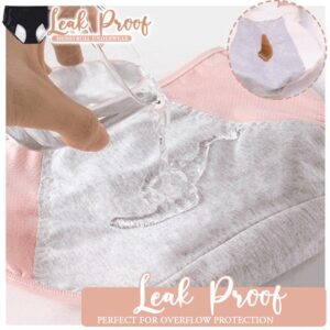 Leak Proof Menstrual Underwear