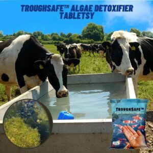 [PROMO 30% OFF] TroughSafe™ Algae Detoxifier Tablets