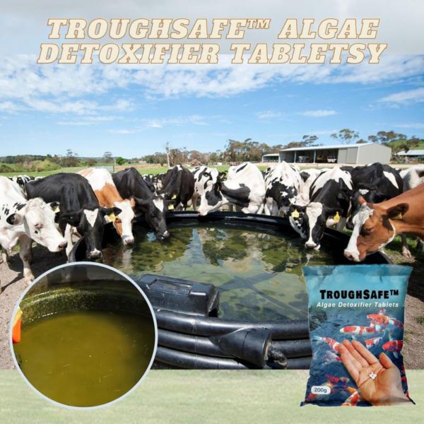 [PROMO 30% OFF] TroughSafe™ Algae Detoxifier Tablets