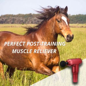 [PROMO 30%] Equine+ Therapy Massager