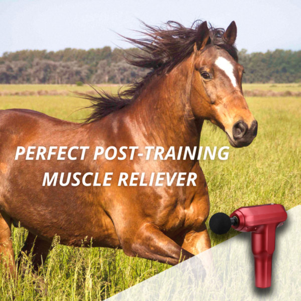 [PROMO 30%] Equine+ Therapy Massager