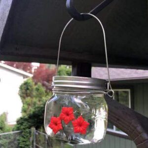 Beautiful Hummingbird Feeder With Three Ports