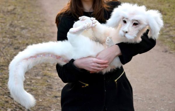 Falkor from The Neverending Story