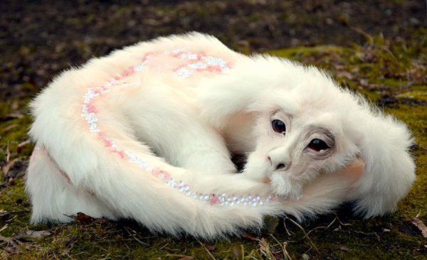 Falkor from The Neverending Story