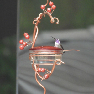 🔥50% OFF TODAY🔥Red Berries Hummingbird Feeder