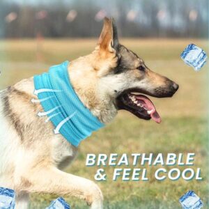 Magicool™ -10°F Dog Cooling Scarf