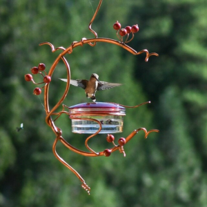 🔥50% OFF TODAY🔥Red Berries Hummingbird Feeder