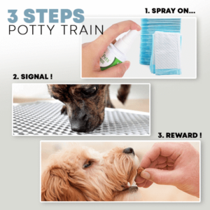 Potty Trainer Spray