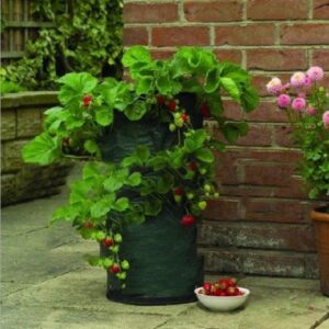 8 Pockets Potato Strawberry Planter Balcony Strawberry Planting Bag Herbs Vegetables Garden